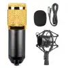 BM-800 Condenser Microphone 